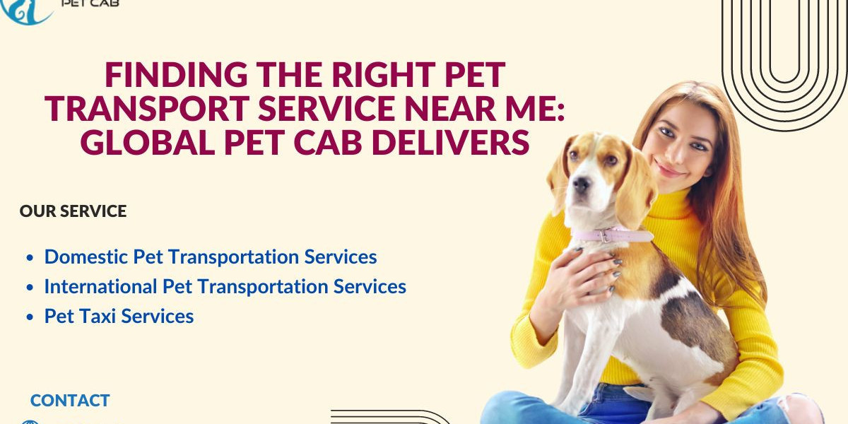 Everything You Need to Know About Pet Transport Services Near Me