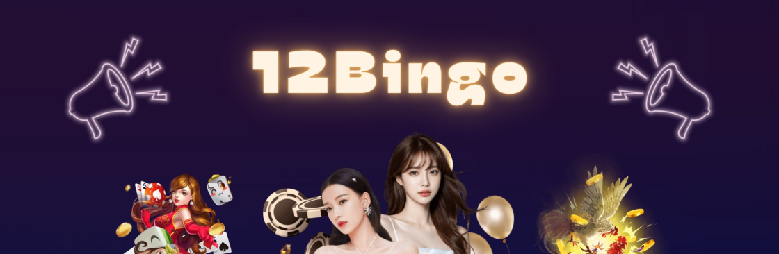 12 Bingo Cover Image