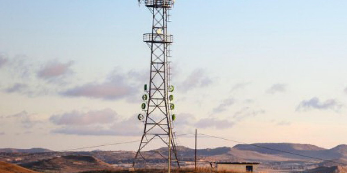Connecting Communities: The Impact of Sprint's Cell Towers