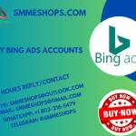 Buy Bing Ads Accounts Profile Picture