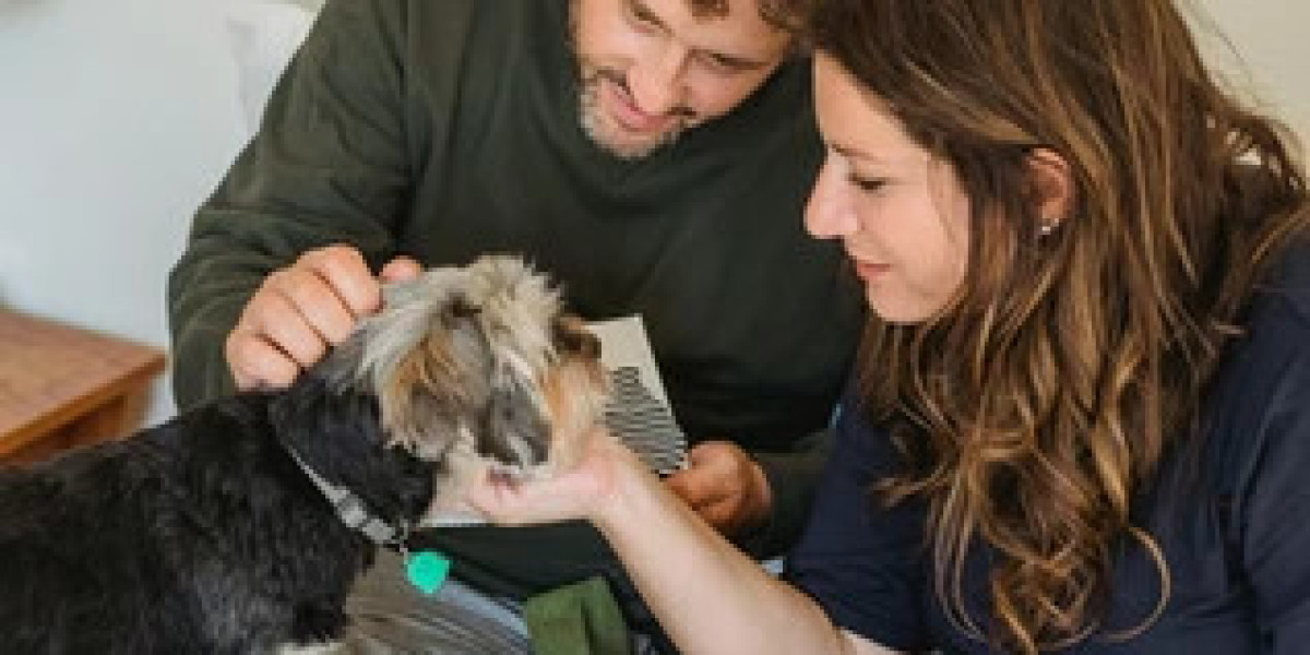 A Step-by-Step Guide to Becoming an Animal Care Specialist