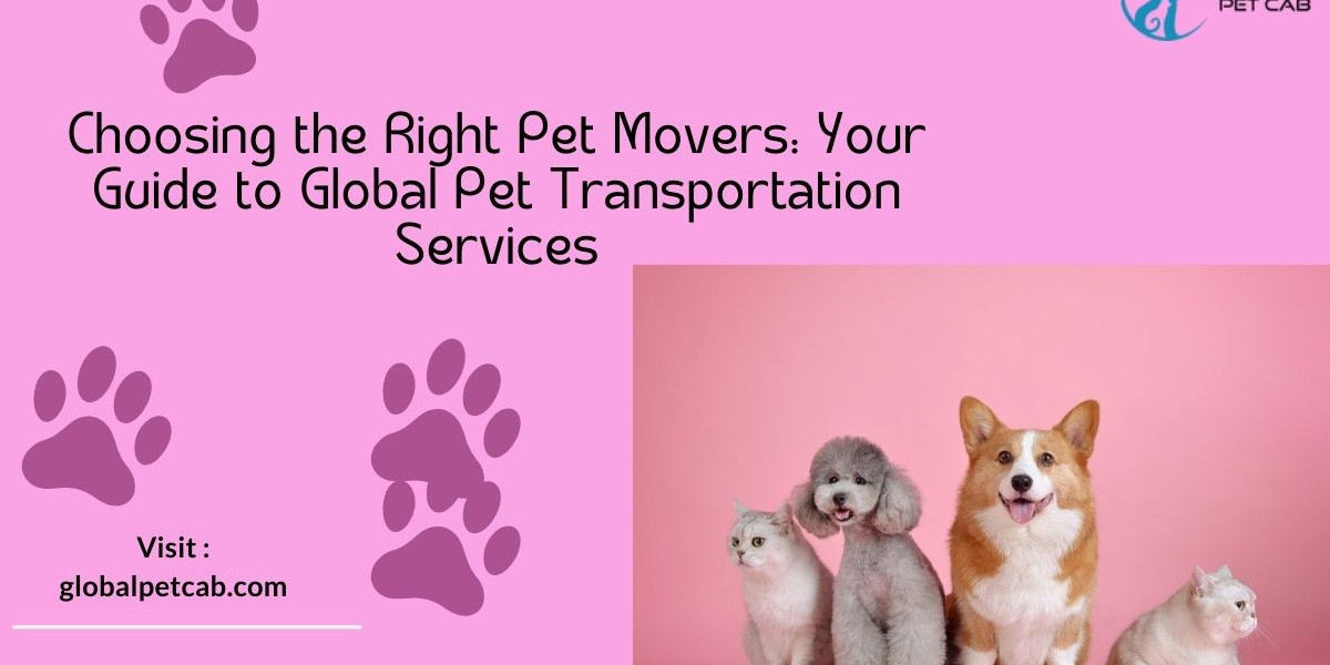 The Ultimate Guide to Finding the Best Pet Movers