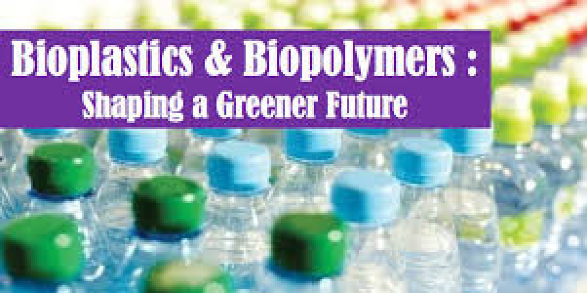 Future Outlook and Strategic Recommendations for the Bioplastics & Biopolymers Market