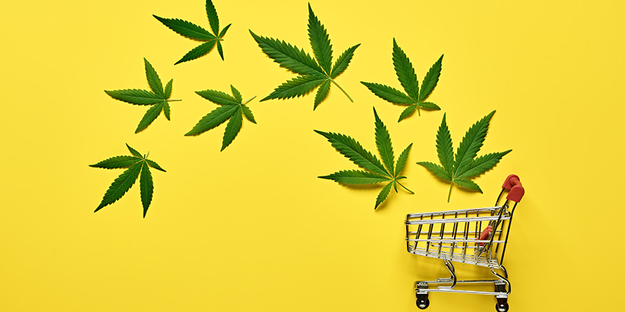 Cannabis SEO Experts: How We Elevate Your Online Presence