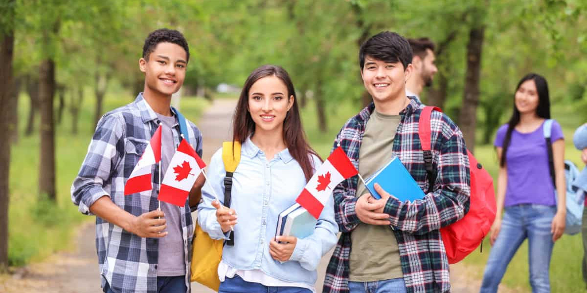 Admission to Dental College in Canada