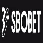 sbobet8 pro Profile Picture