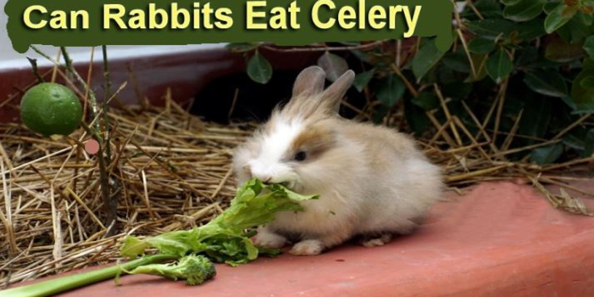 Can Rabbits Eat Celery (Leaves & Stalks)?Guide to Bunny Owners