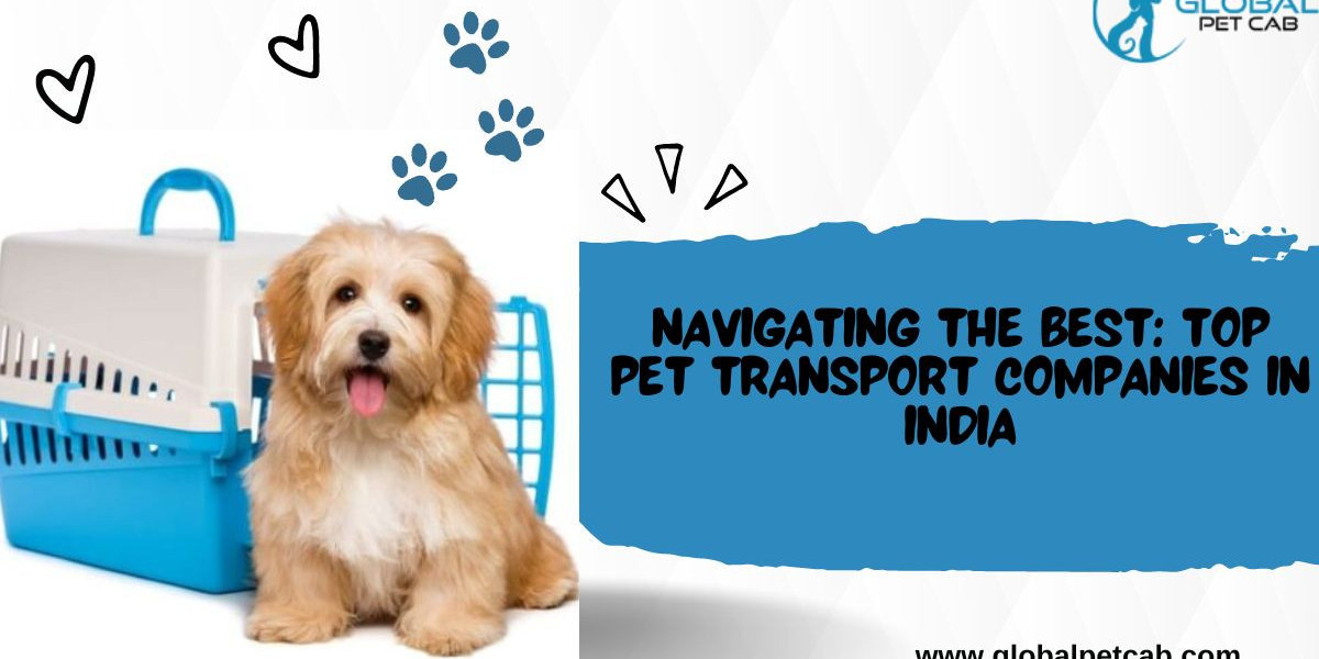 Top-Rated Pet Transport Services in India: A Comprehensive Review