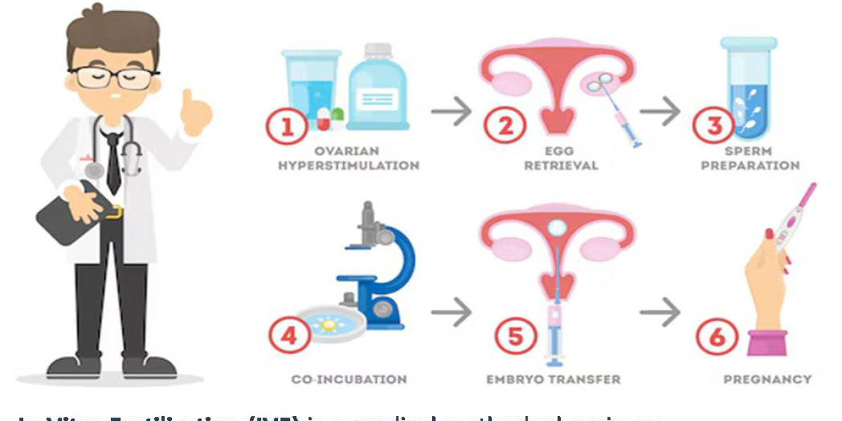 The Ultimate IVF Process: A Step-by-Step Guide