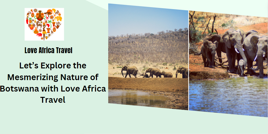 Atlanta to Botswana Holiday Packages | Tour & Safari Packages  - Love Africa Travel