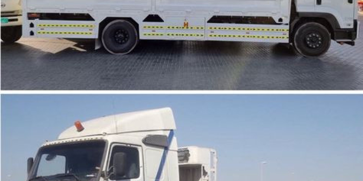 Efficient 3 Ton Pickup Rental Services in Dubai
