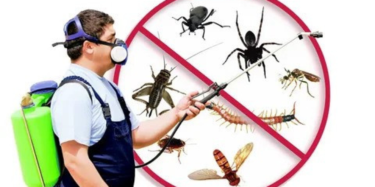 Comprehensive Guide to Pest Control: Protecting Your Home and Health