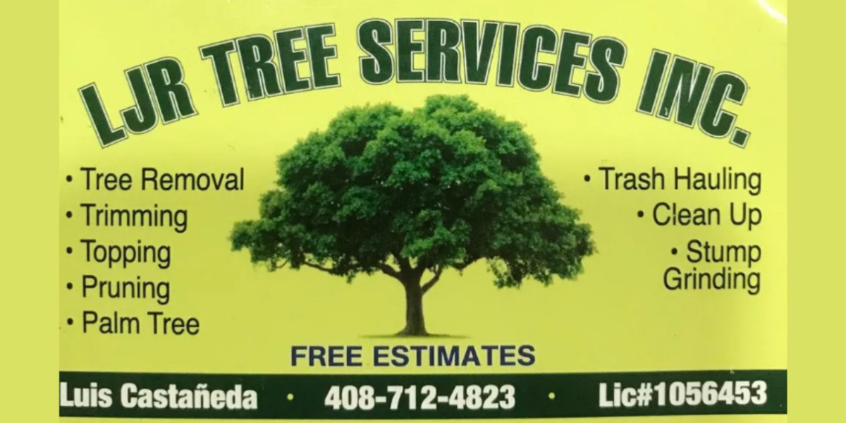 Ljr Tree Services Inc: Your Go-To Tree Care Experts in San Jose