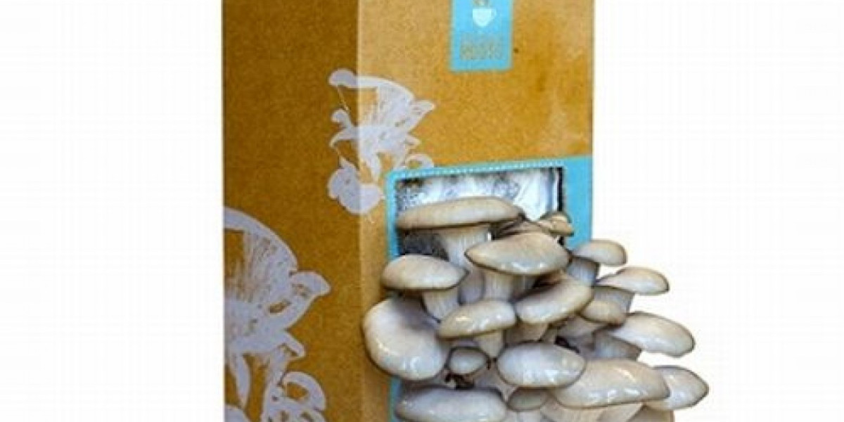 Mushroom Boxes: Cultivating Deliciousness and Curiosity at Home
