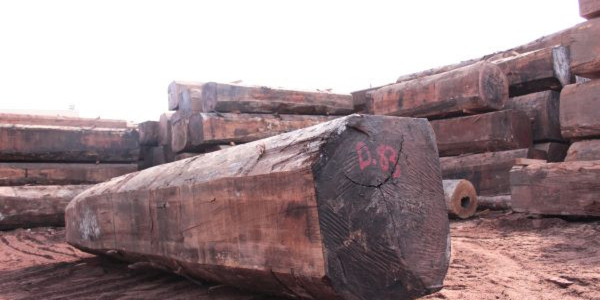 Harvesting Nature's Bounty: Hardwood Logs Suppliers in the UAE