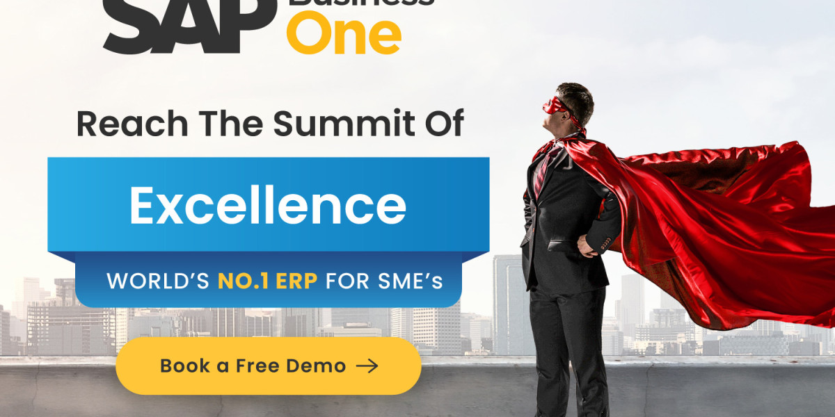 SAP Business One Gold Partner in India