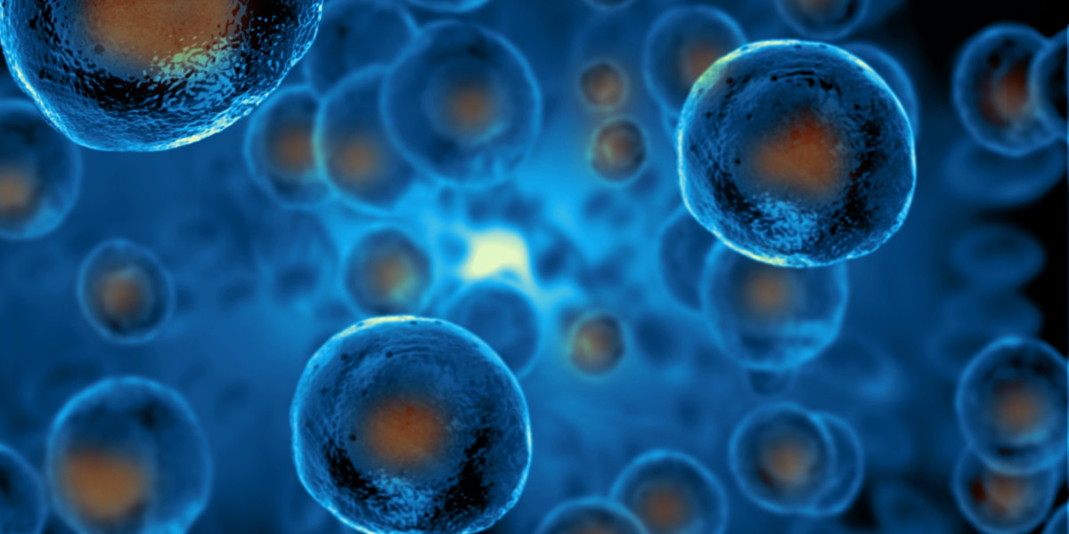 India Cell Therapy Market Trends and Opportunity 2024-2032