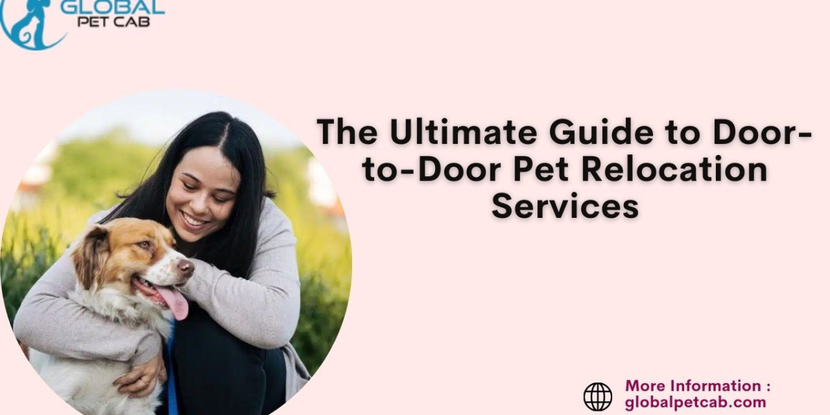 Door-to-Door Pet Relocation Services: Simplifying Your Pet’s Move
