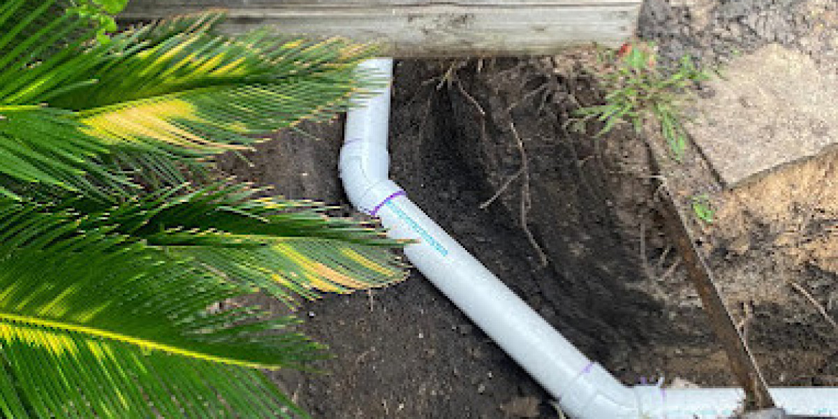 How to Deal with Tree Roots in Your Houston Sewer Lines