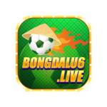 bongdalulive Profile Picture