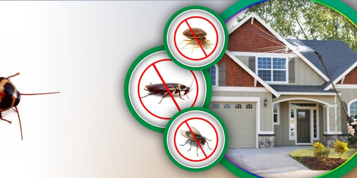 Effective Termite Control Services in Lahore and Islamabad