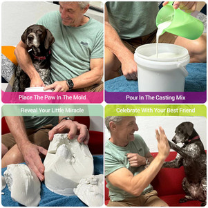 Step-by-Step Process of Using a Dog Paw Casting Kit - JustPaste.it