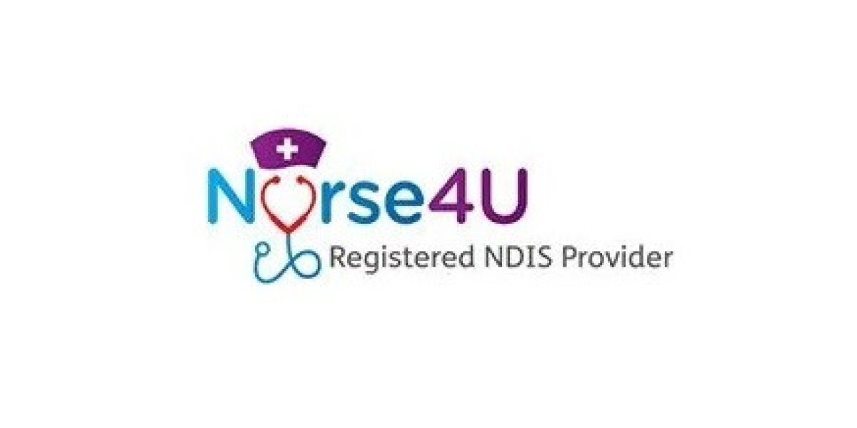 What role do NDIS plan managers play in providing disability support services?