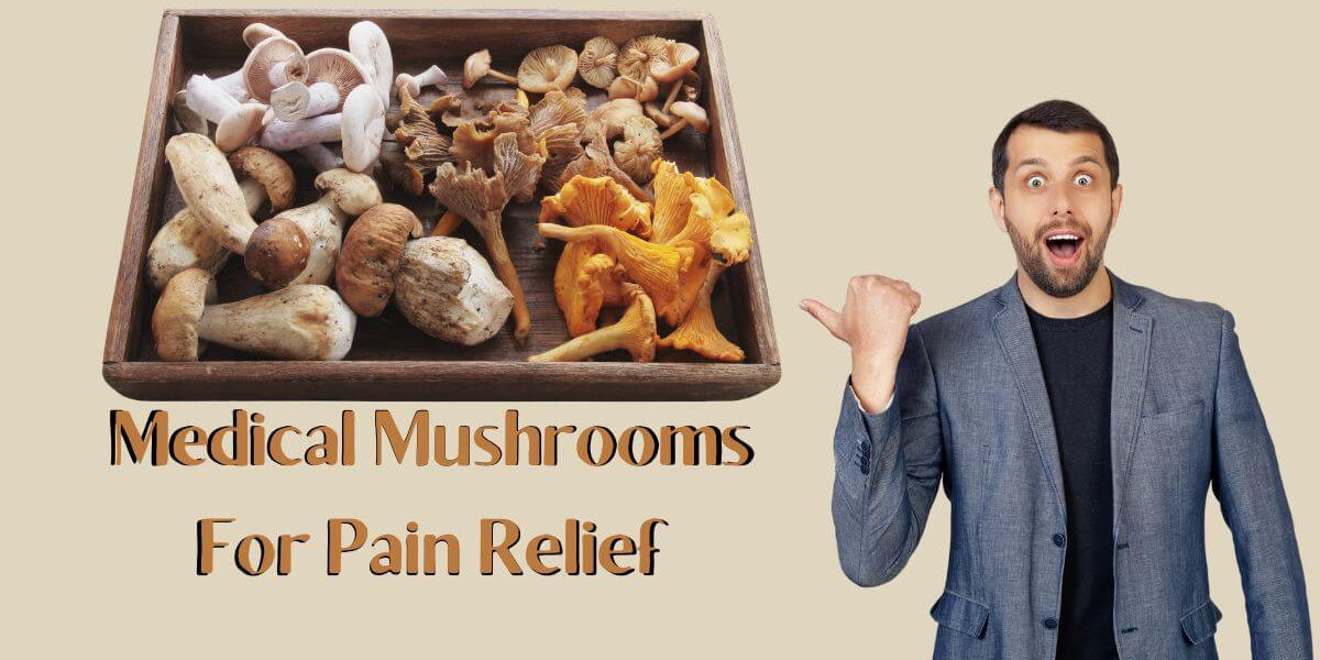 The Medical Mushrooms: Your Ultimate Guide to Pain Relief