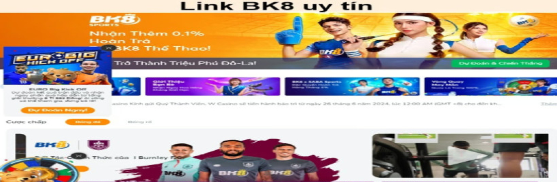 Link BK8 Cover Image