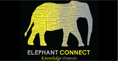 Expert tutoring services – Elephant Connect Education