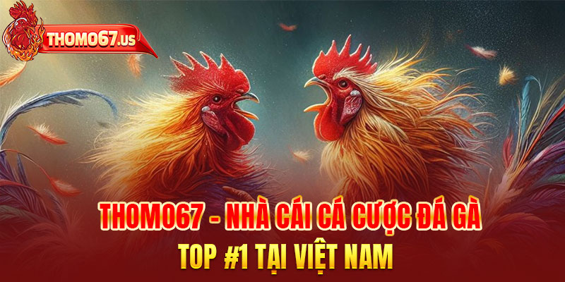 THOMO67 ?️ TRANG CHỦ NHÀ CÁI UY TÍN SỐ 1 CHÂU Á ✔️