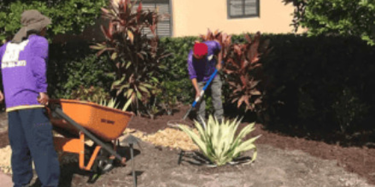 Perfecting Lawn Care in Longboat Key: Essential Lawn Mowing Tips