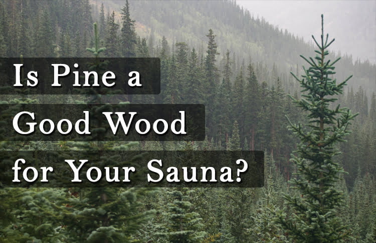 Selecting the Best Wood for Sauna: An In-Depth Guide - Cedar Sense Wooden Products