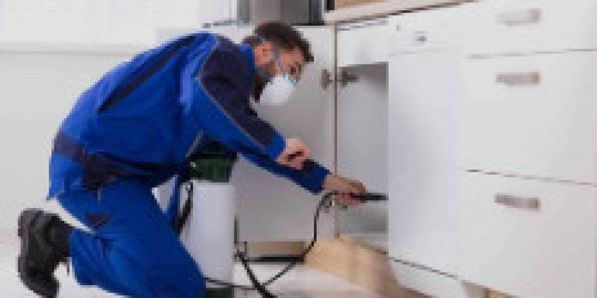 Choosing Between a Pest Controller and a Plumber in Southend