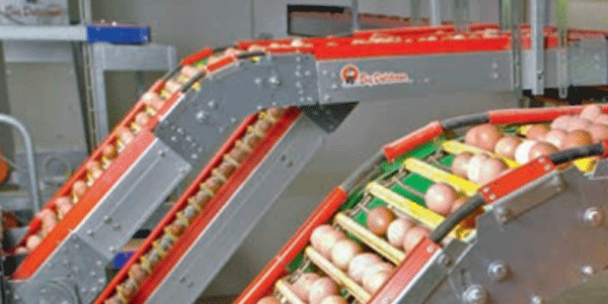 Reliable Egg Sorting and Grading Machines for High-Volume Production