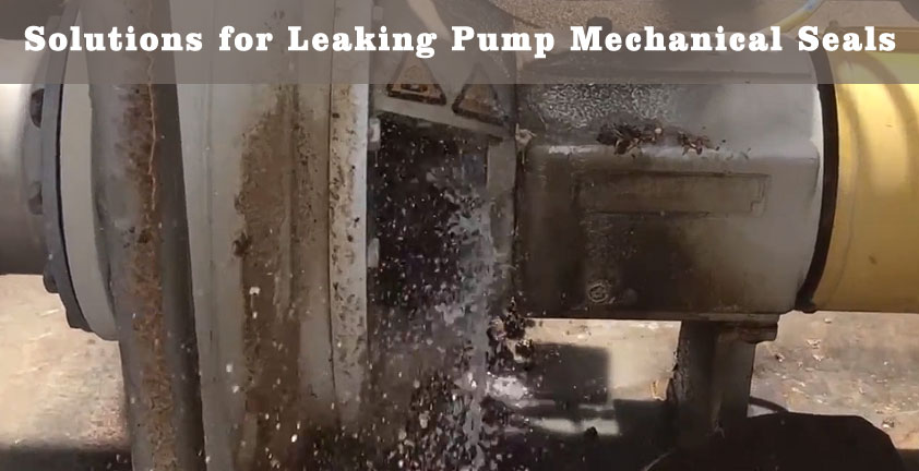 Are you becoming frustrated due to the chemical pump's leakage?