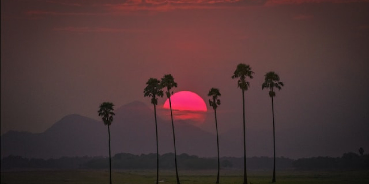 Discover Palakkad: A Hidden Gem in Kerala