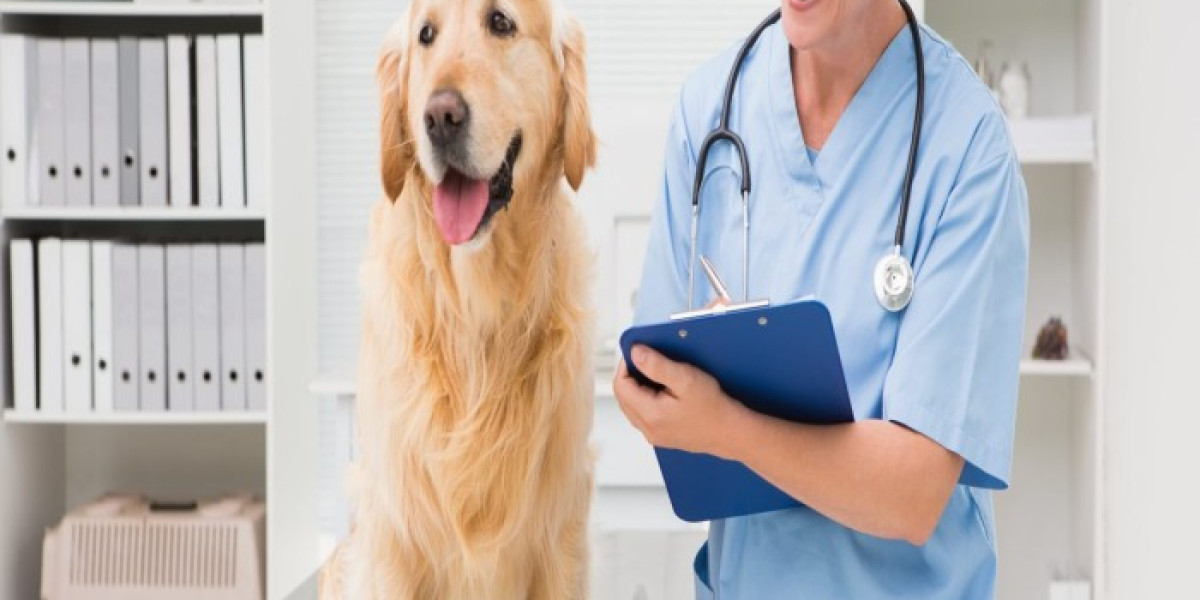 Veterinary Diagnostic Imaging Industry Growth