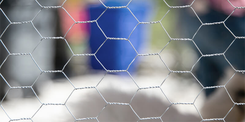 Gi Chicken Wire Mesh for Coop Netting | Hex Wire Mesh Manufacturers
