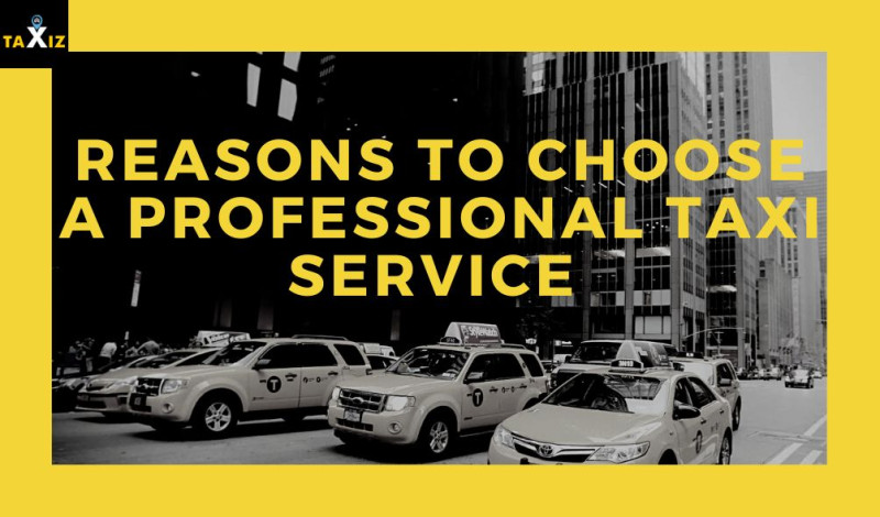 Top 10 Reasons to Choose a Professional Taxi Service for Your Daily Commute: taxiznet — LiveJournal