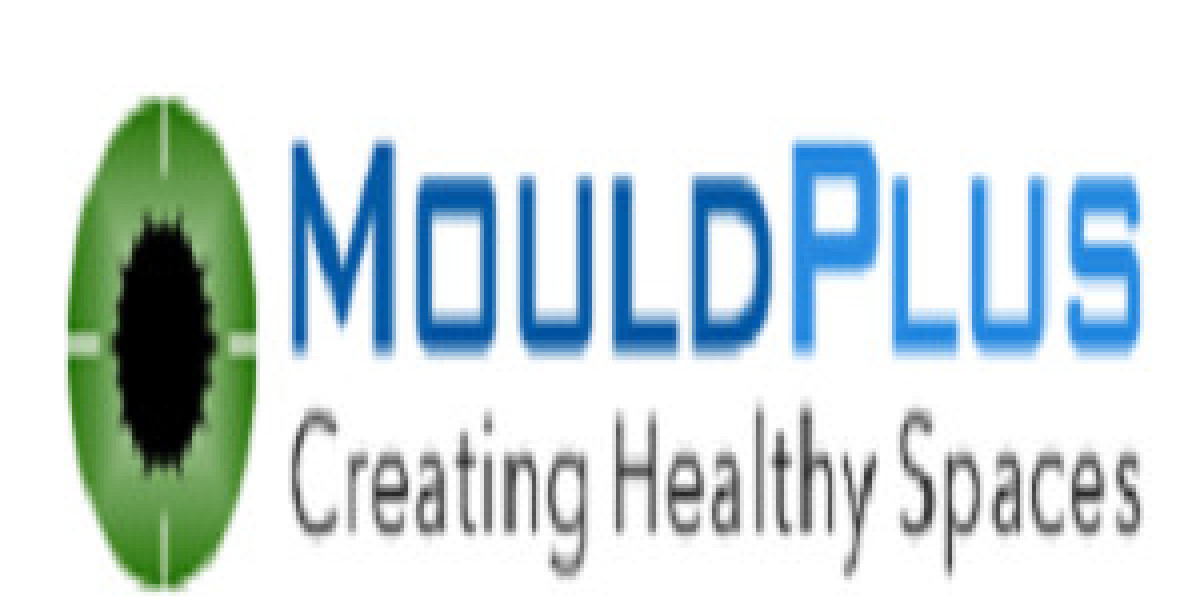 Your Trusted Mould Remediation Specialist in Sydney