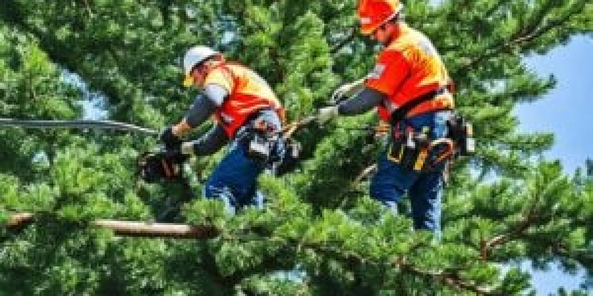 Keep Your Yard Safe with Emergency Tree Services: Why Quick Action Matters