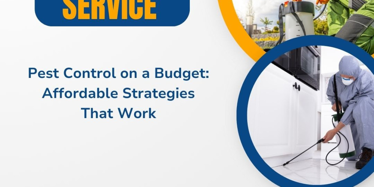 Pest Control on a Budget: Affordable Strategies That Work
