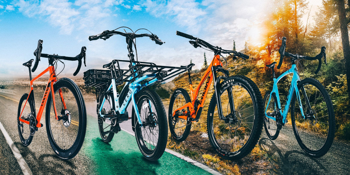 Mountain, BMX, or Cruiser: Which Bike is Right for You?