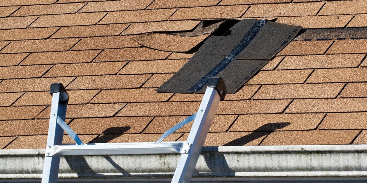 Expert Roof Repair Customization for Your Unique Needs
