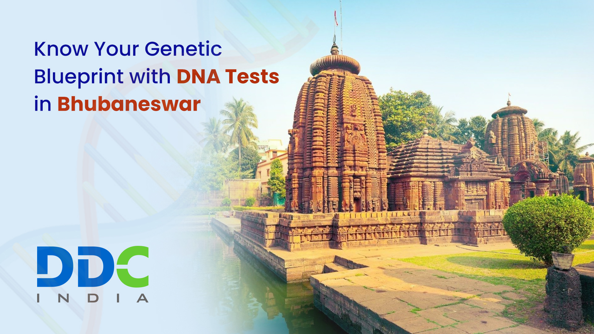 Finding the Reliable Lab for Immigration DNA Tests in Bhubaneswar? - AtoAllinks