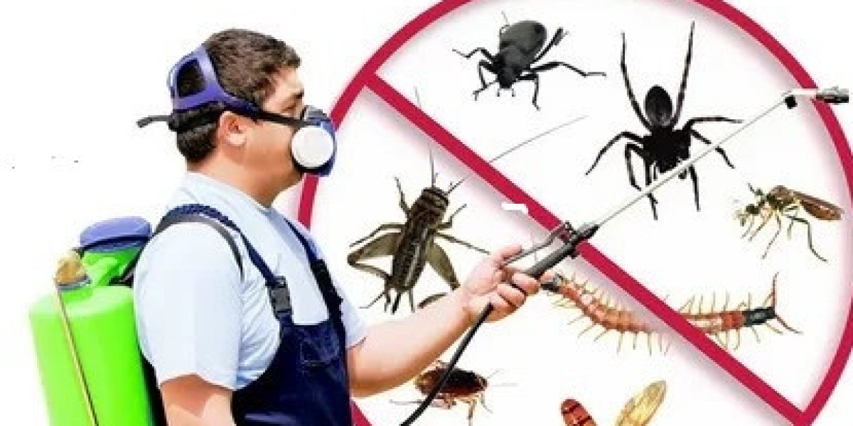 Comprehensive Pest Control Services: Ensuring a Safe and Pest-Free Environment