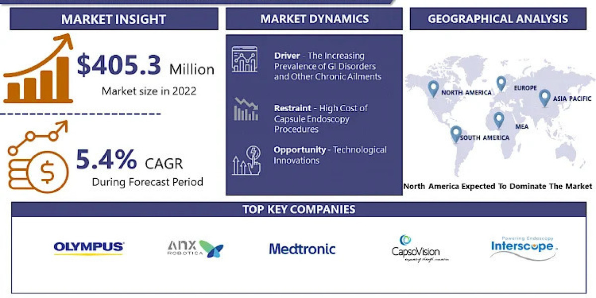 Capsule Endoscopy System Market Uncover the Latest Market Trends and Insights for 2030