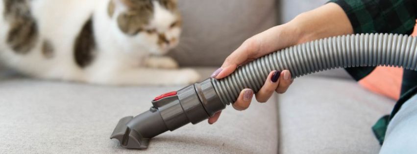 Bond Cleaning with Pets: Making the Move Smooth for Furry Friends