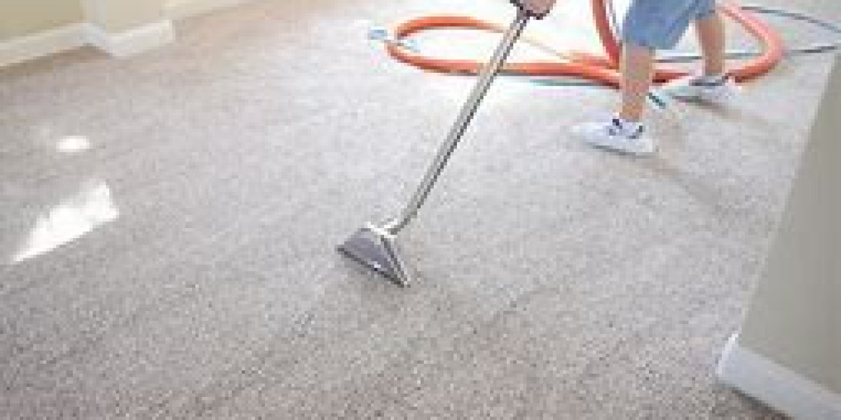 How Professional Carpet Cleaning Helps Control Dust Mite Allergies